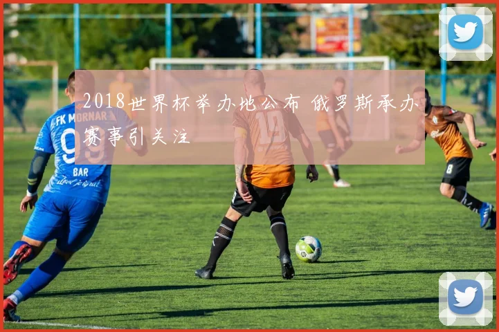 2018世界杯举办地公布 俄罗斯承办赛事引关注